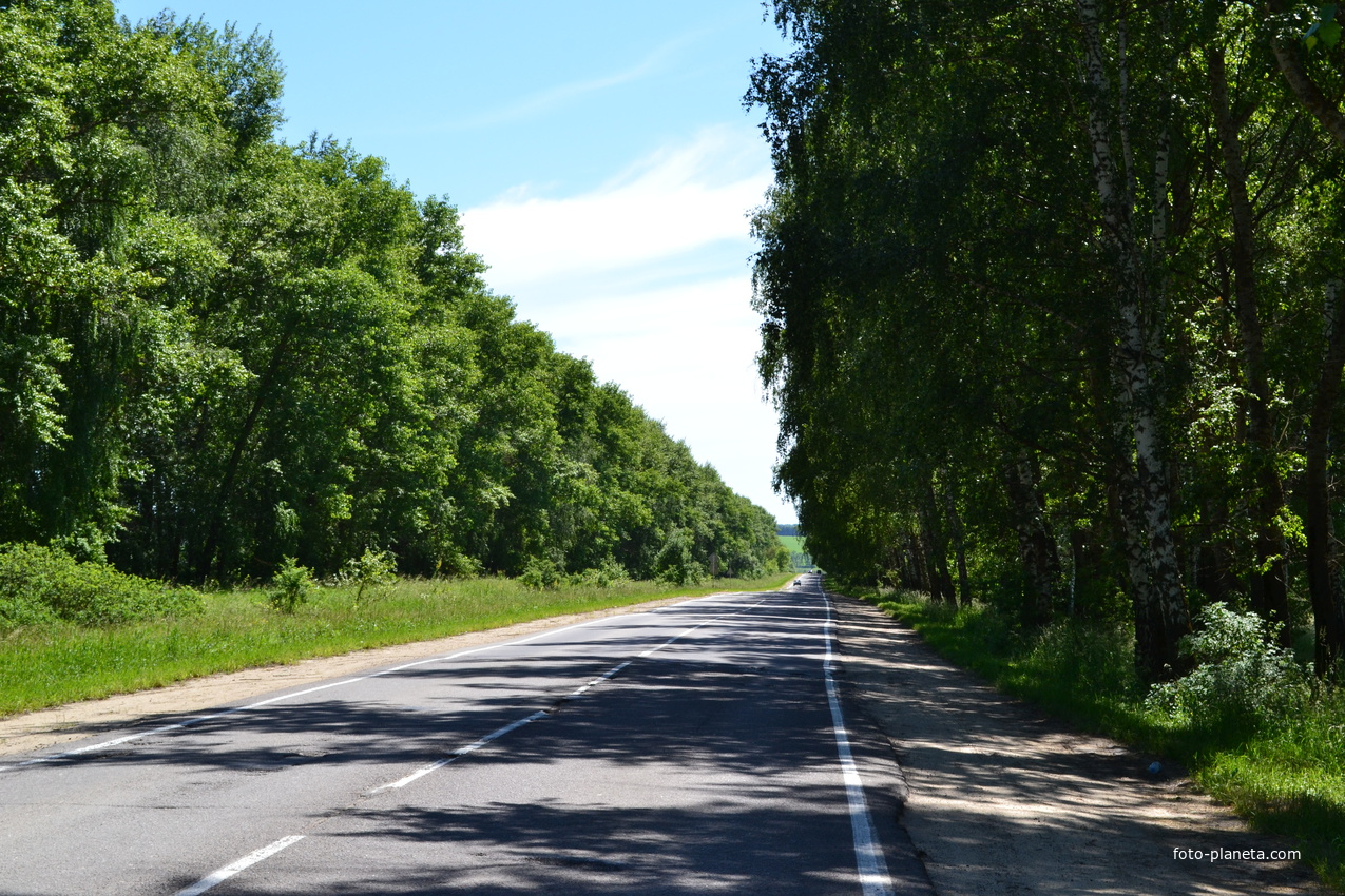 Въезд в Залегощь. Дорога со стороны города Орла.