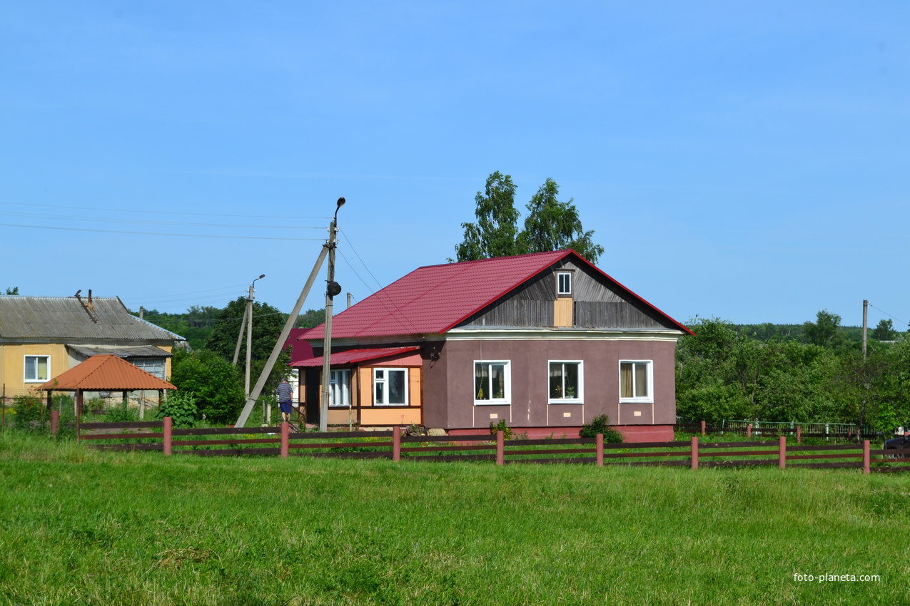 Дом в селе