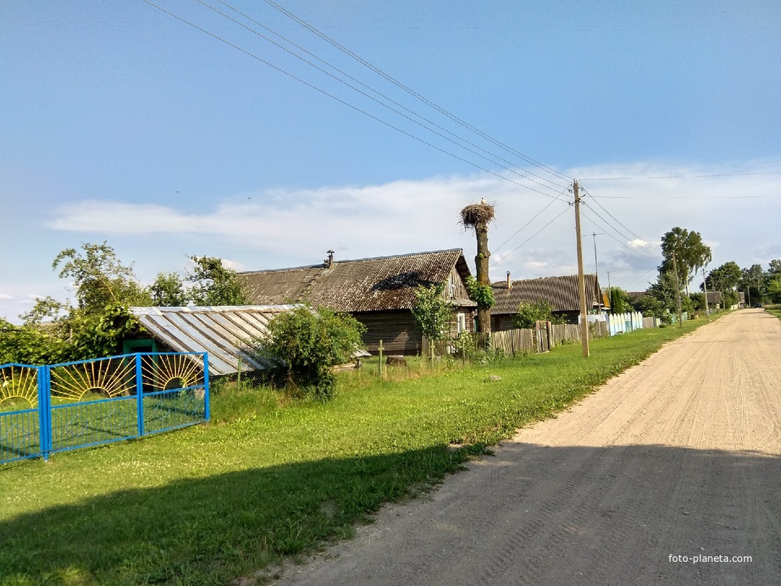 Деревня Коробовичи