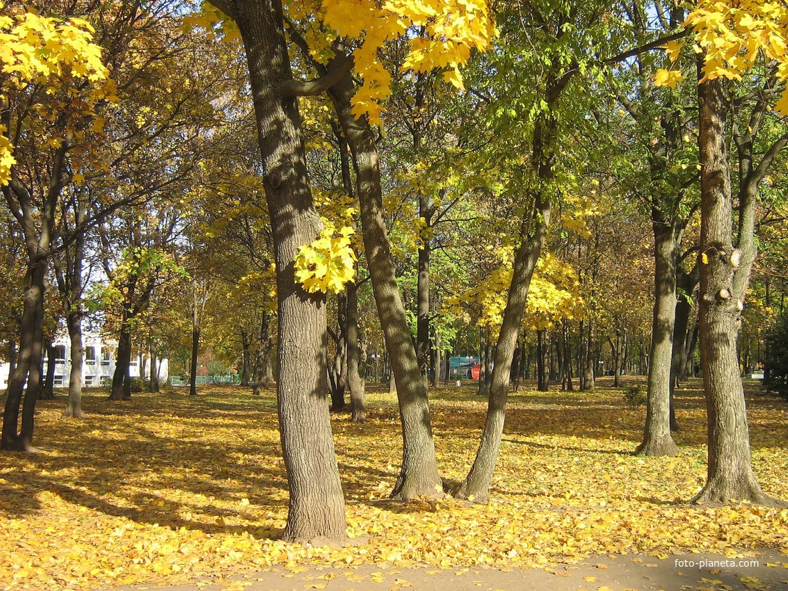 Харьков. Молодёжный парк осенью.