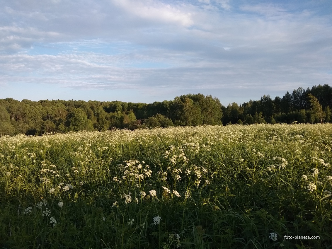 Кучина мельница