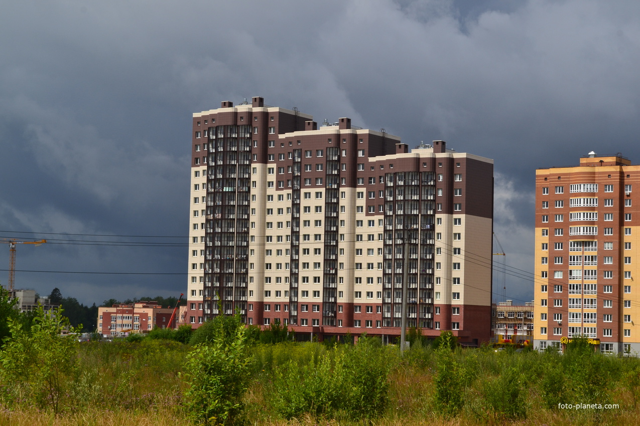 Многоэтажные дома в городе Обнинске