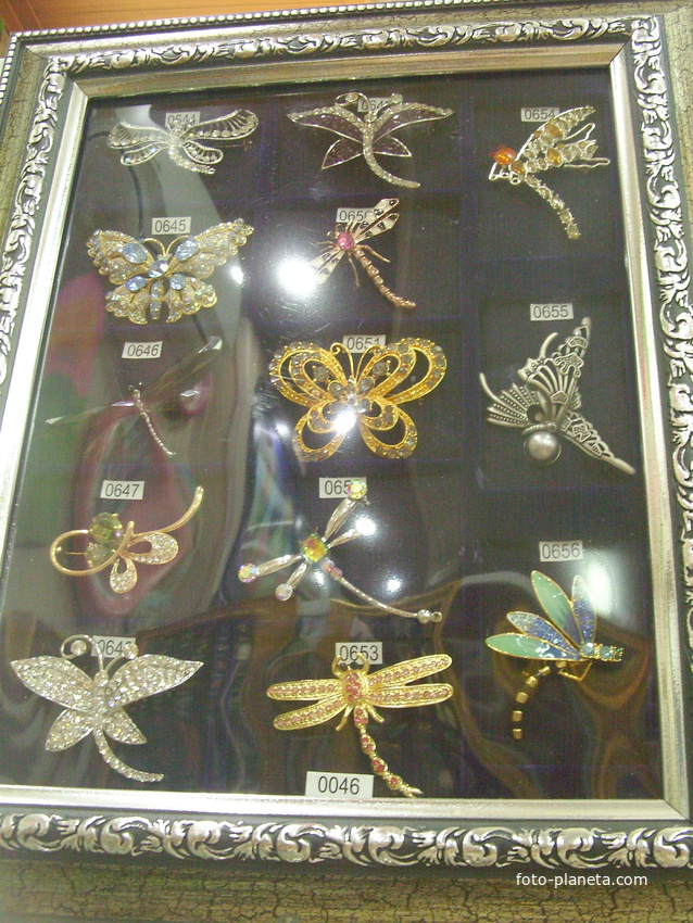 Частный музей «Бабочек и стрекоз»