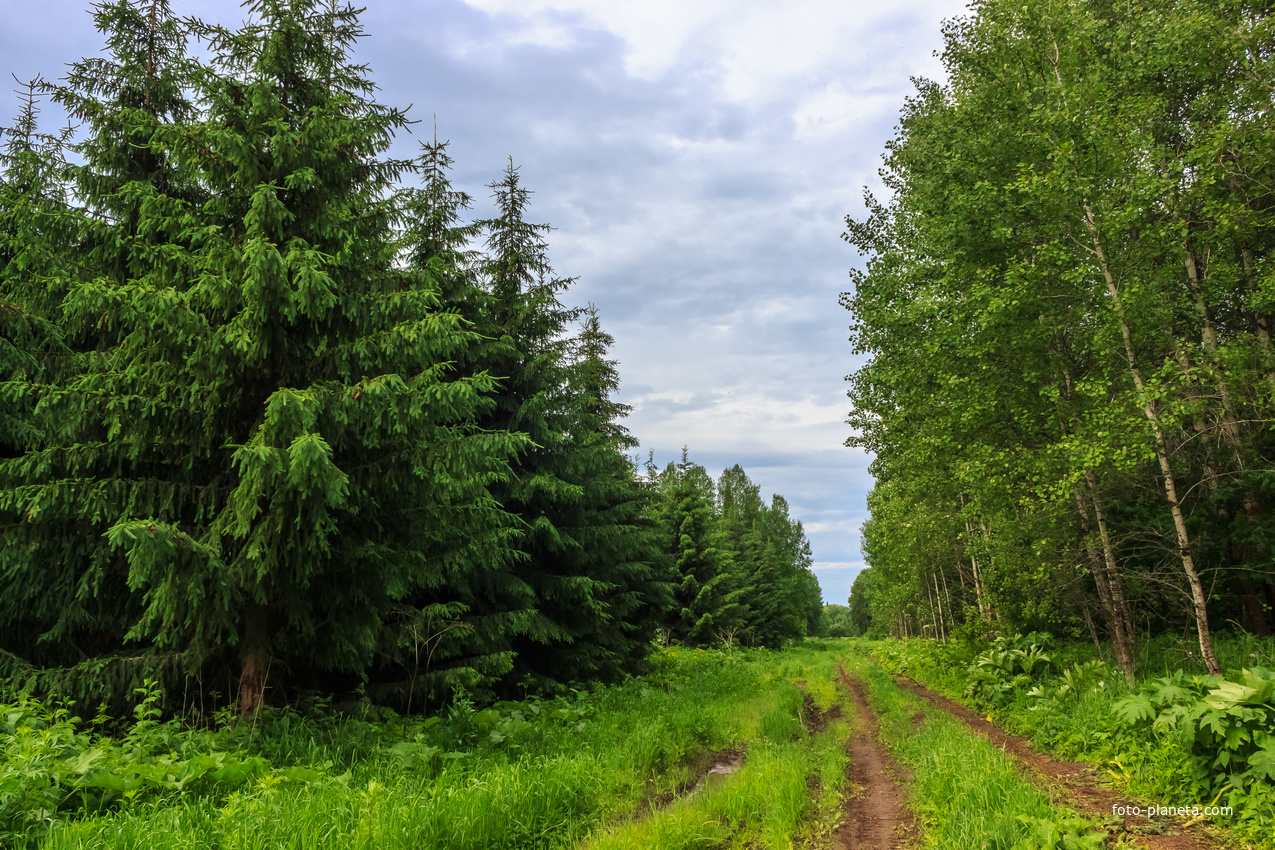 Природа в окрестностях Хмелёвки