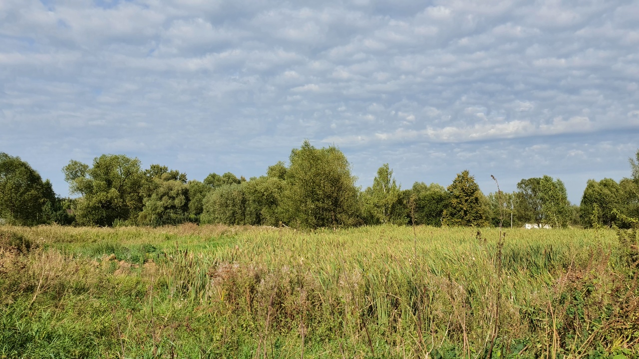 Преображенская улица