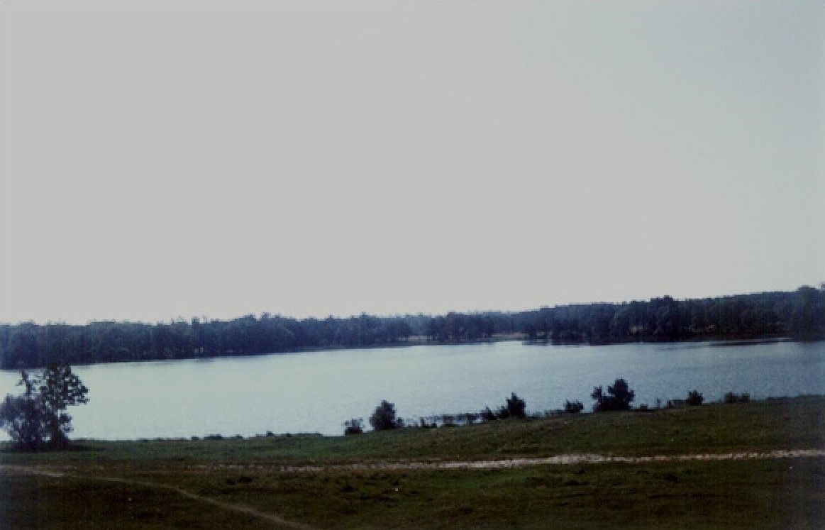 Озеро Лемёшинское у деревни Лемёшино. Вид с восточного берега (пляжа). Август 1995г.