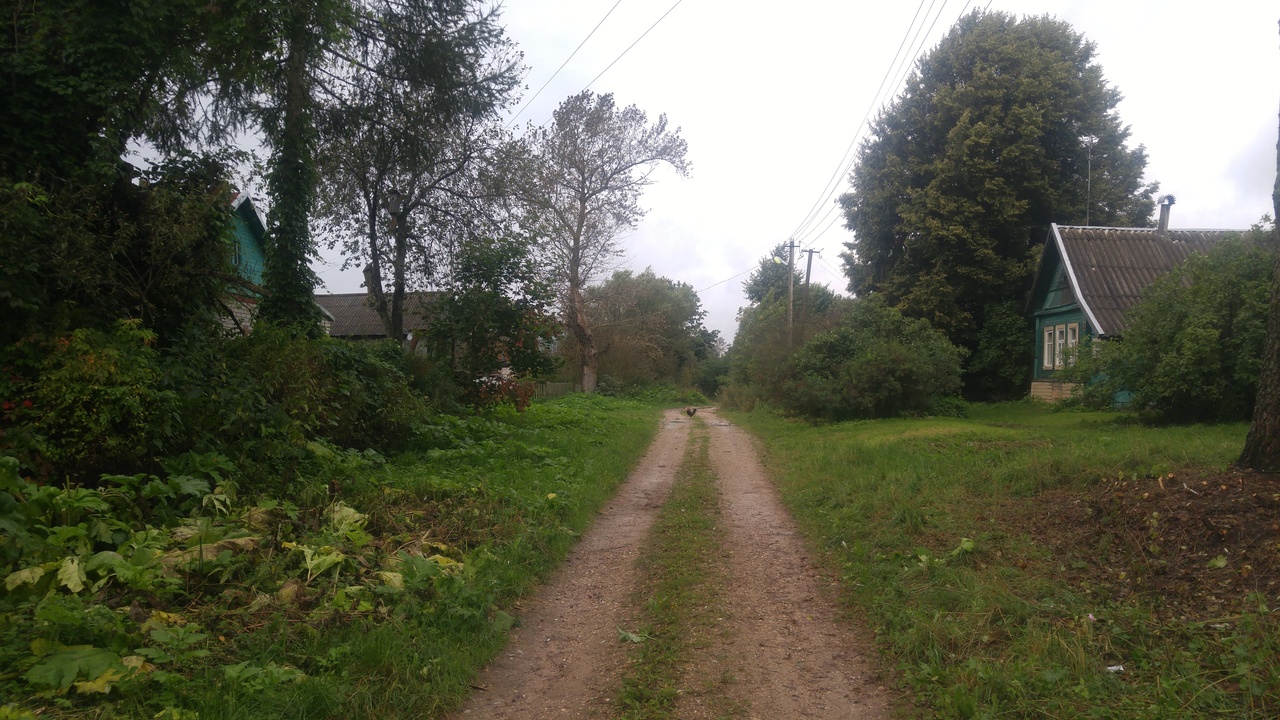 Дорога в деревне Сорокино.