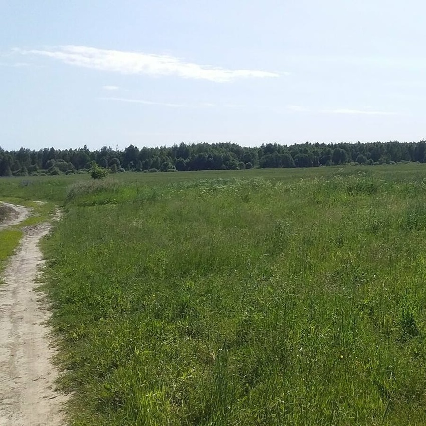 Великая Дуброва