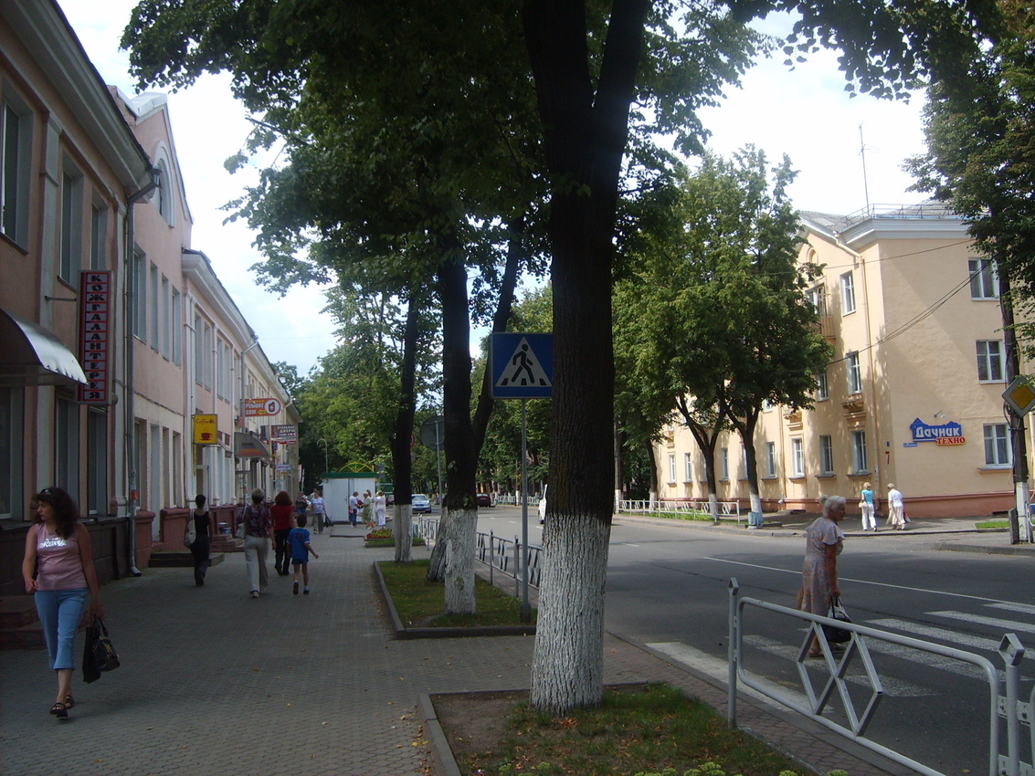 Улица Волынца