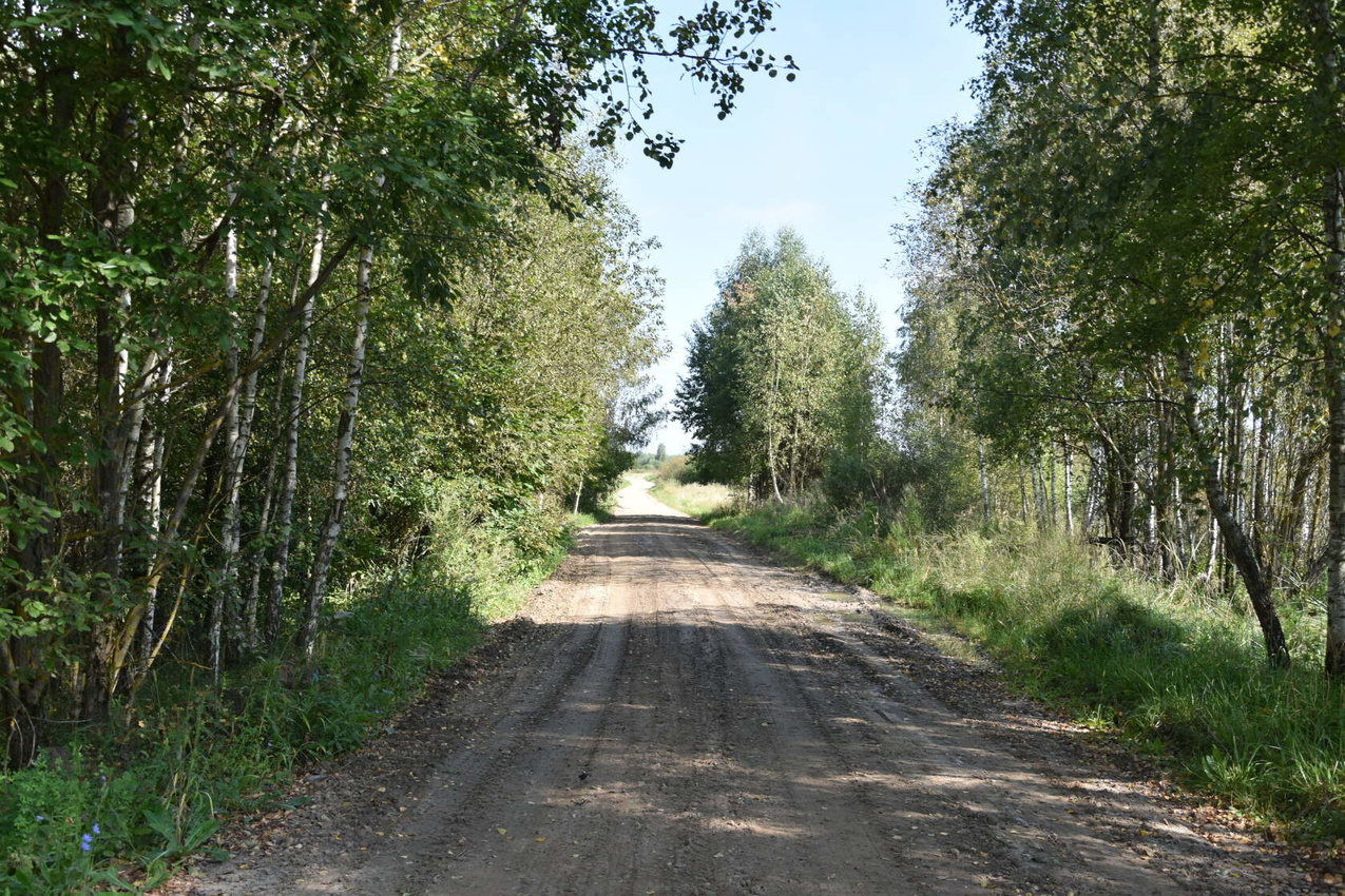 Дорога к бывшей ферме