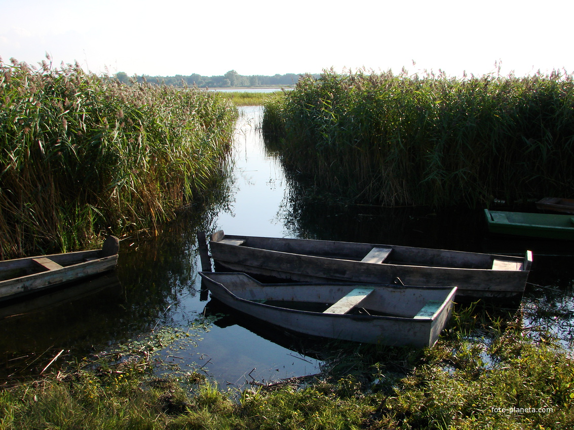 Озеро Сомино *човни на болот*