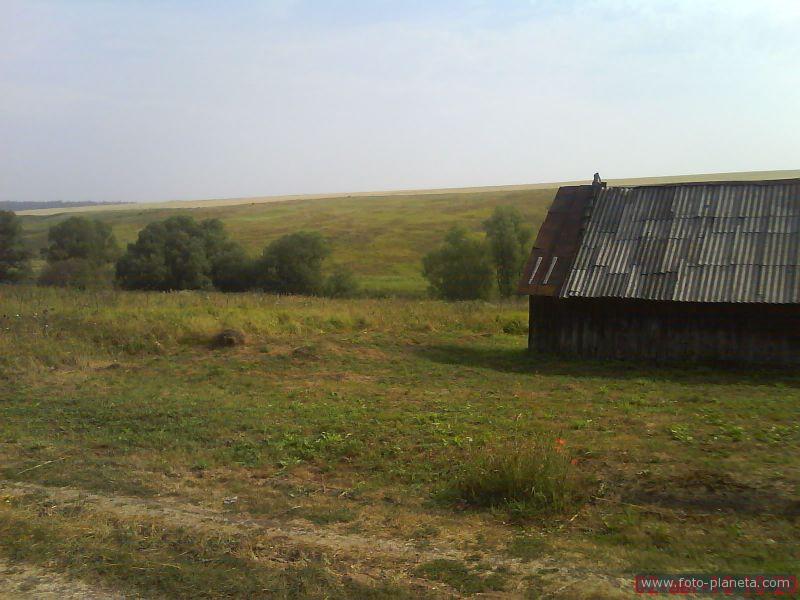 Жаркое лето 2010 в Старо-Крапивенке