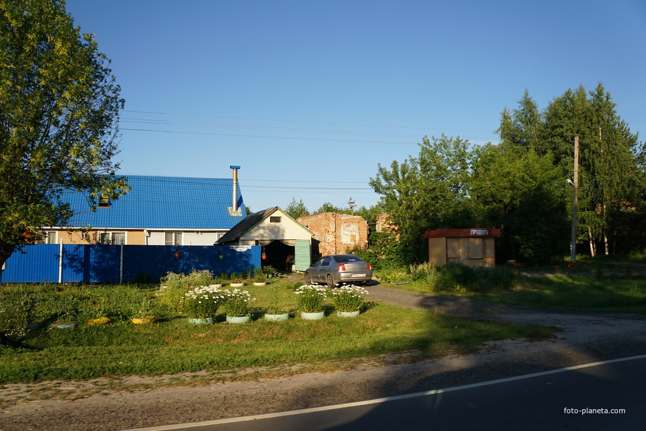 Центральная улица