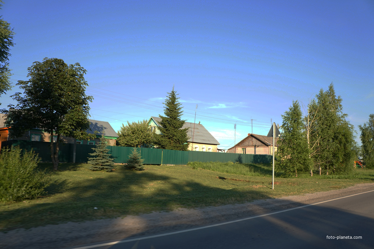 Центральная улица