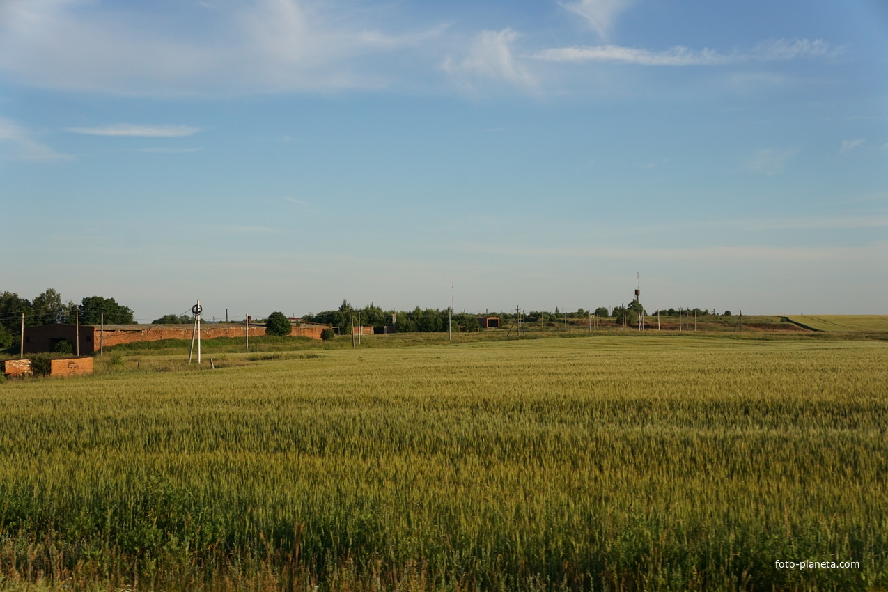 Разрушенная ферма