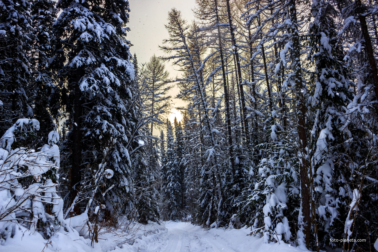Природа в окрестностях Хмелёвки