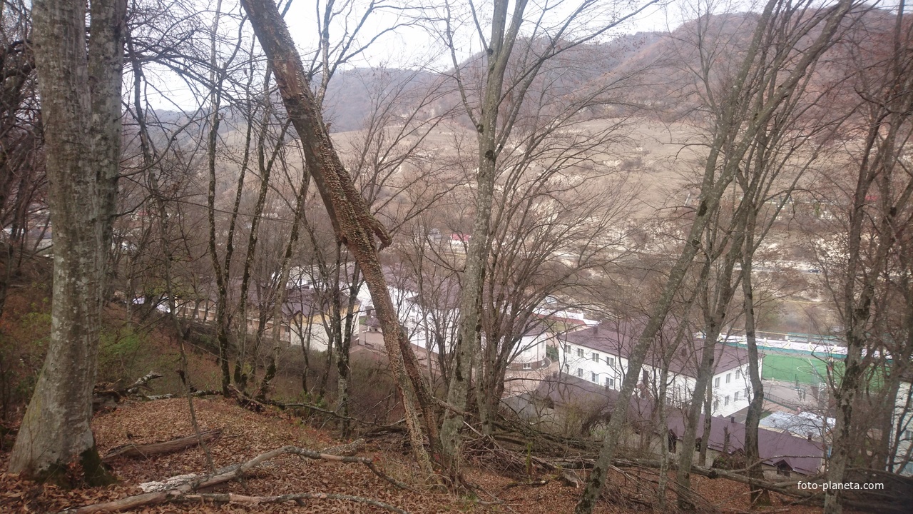 На одном из холмов у санатория &quot;Целебные Воды&quot; около 3-го посёлка (микрорайона) села Белая Речка