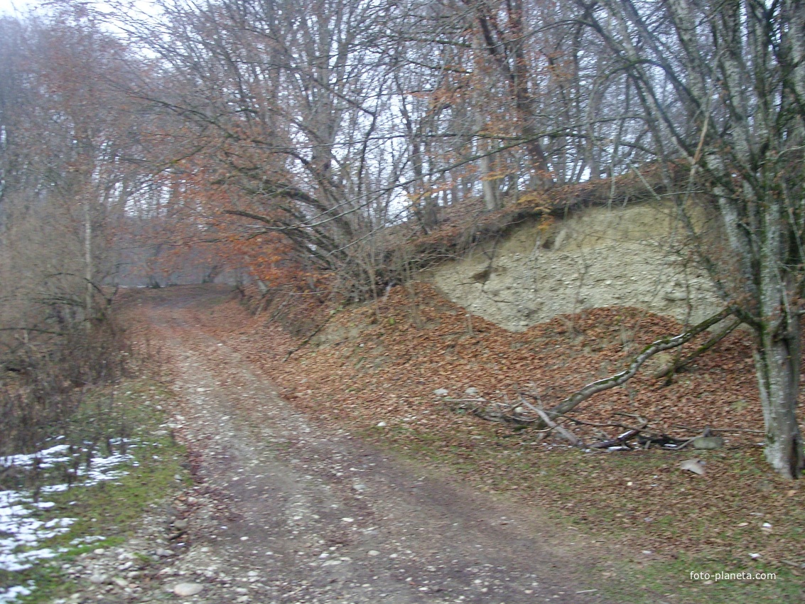 Дорожка к бывшей даче Хрущёва в 3-м посёлке (микрорайоне) села Белая Речка