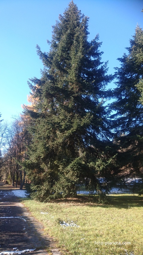 В Ботаническом саду КБР.