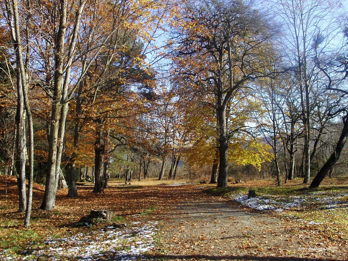 В Ботаническом саду КБР.