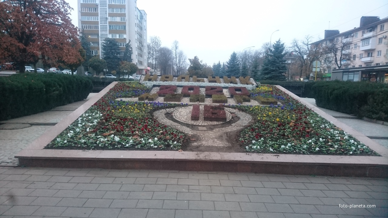 Цветочный календарь на проспекте Ленина