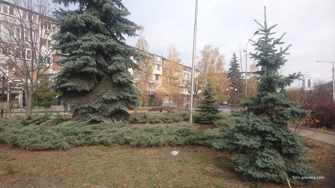 Во дворе дома №5 по проспекту Шогенцукова