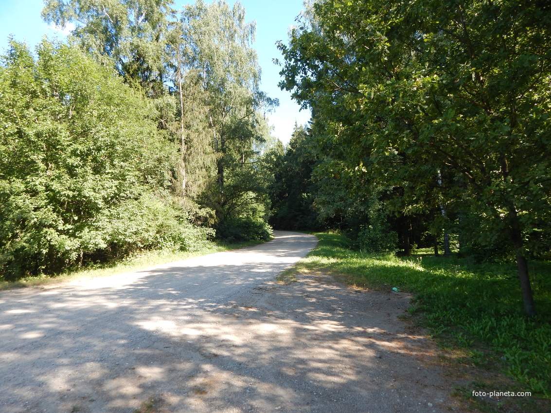 Въезд в Гадовичский лес (мемориал - у дороги справа)