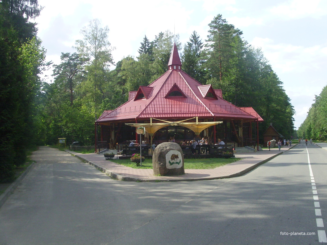 Кафе &quot;Лесная Сказка&quot; в национальном парке &quot;Беловежская пуща&quot;