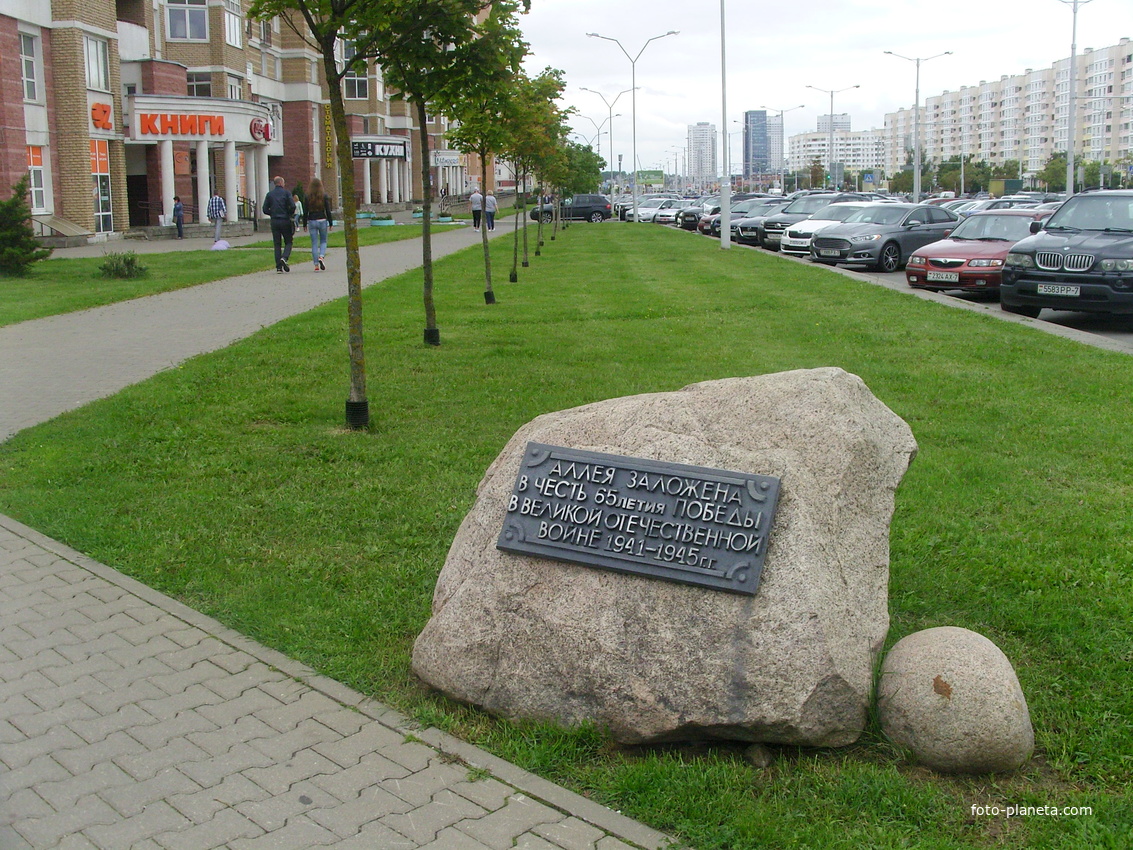 Аллея в честь 65-летия Победы в ВОВ на улице Притыцкого
