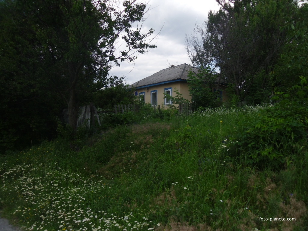 Половецкое