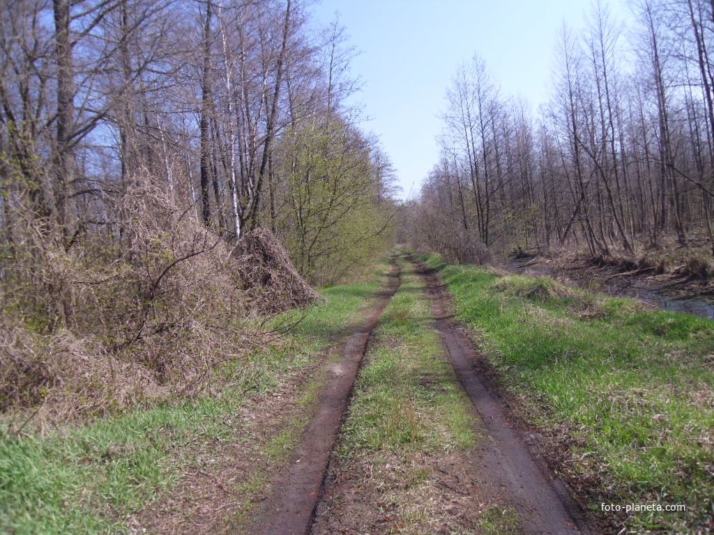 Просёлочная дорога от дамбы на р.Ирдынка в сторону села Белозерье.