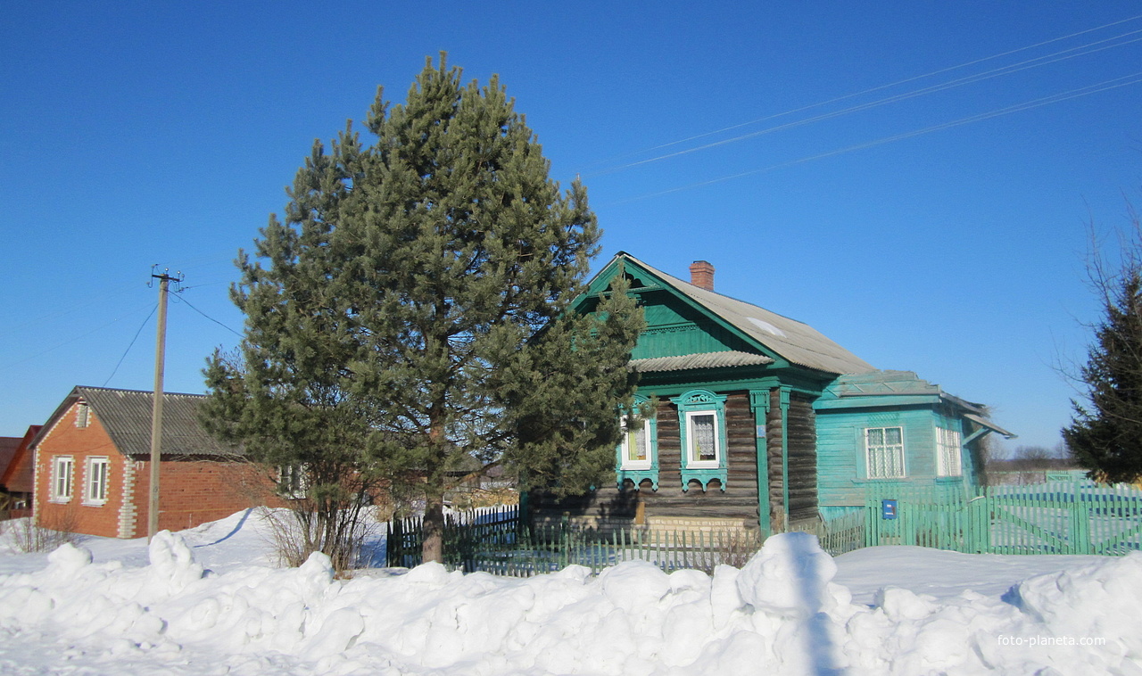 Левина гора. Дом с хвойными.