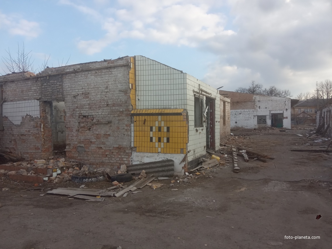 Руины Синельниковского молочного завода.