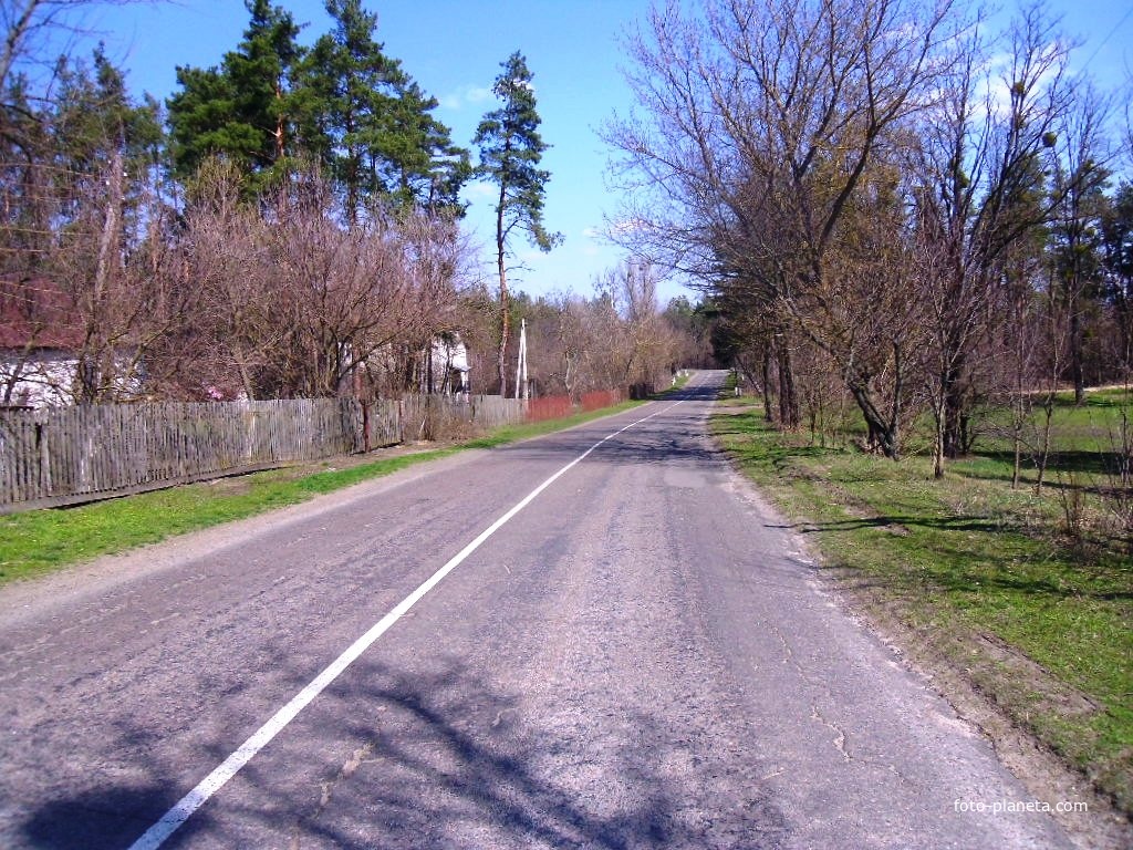 Дорога по селу.