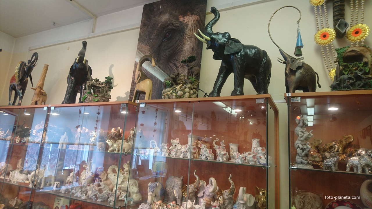 Музей слонов в Музейном комплексе при Храме великомученика и целителя Пантелеймона.