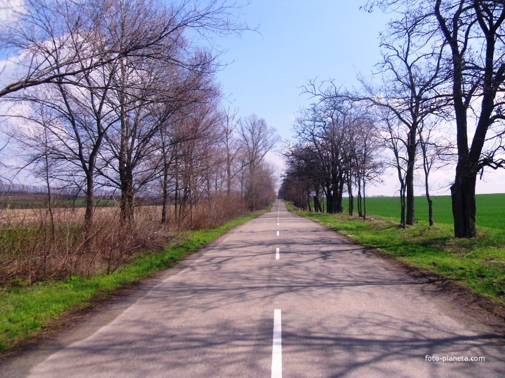 Дорога на Завадовку.