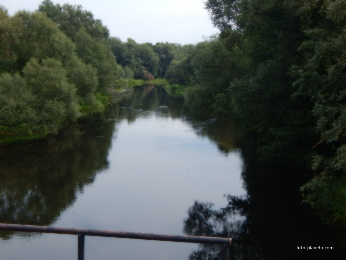 Река Дрисса (вид с моста у д.Янковичи)