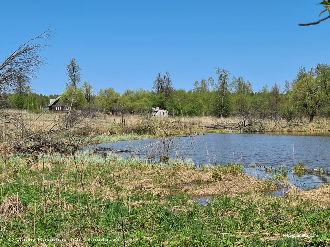 д. Филатьево,  пруд у деревни
