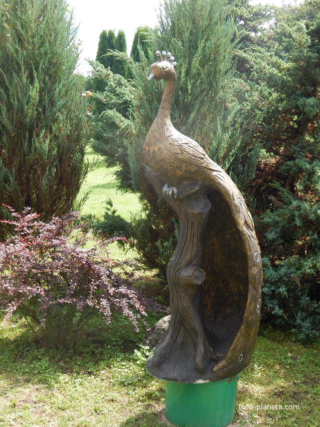 Скульптура павлина (во двворе костёла)