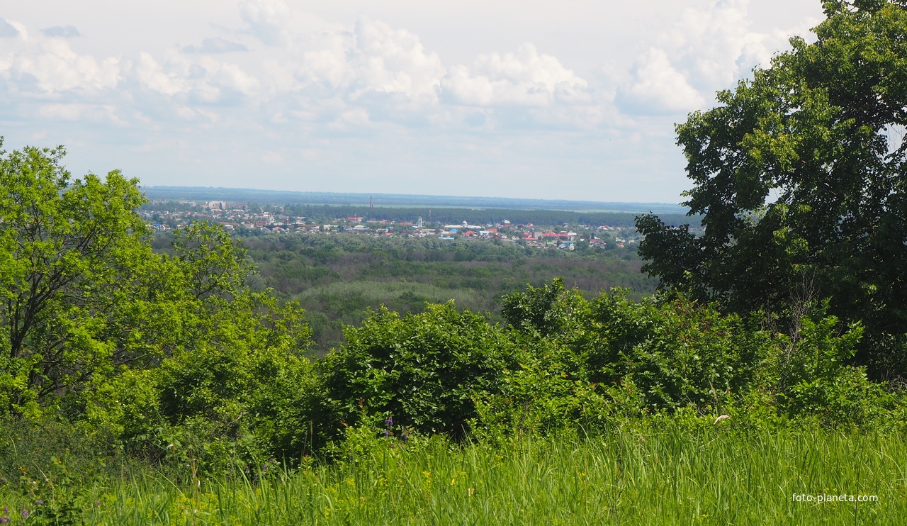 Вид на Павловск из Белогорья