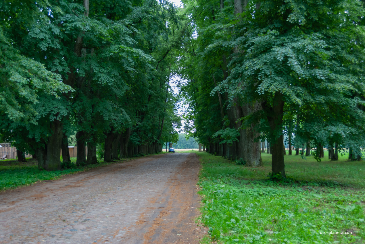 Аллеи парка усадьбы Рейтанов
