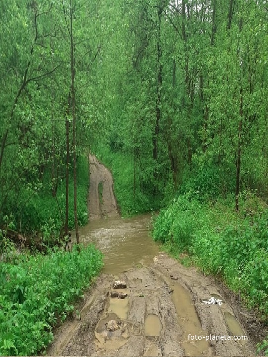 Единственная дорога через овраг и ручей в деревню Чубарово
