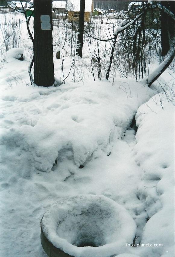 Родник в конце 8-й улицы с/д &quot;Луч&quot; за деревней Никитинская. Январь 1996г.