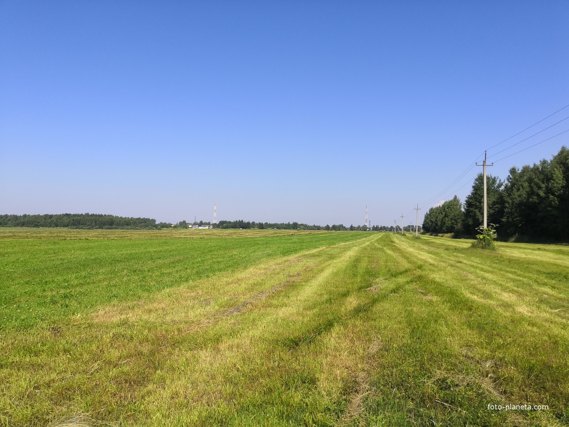 Вид на Вахонино с поля.