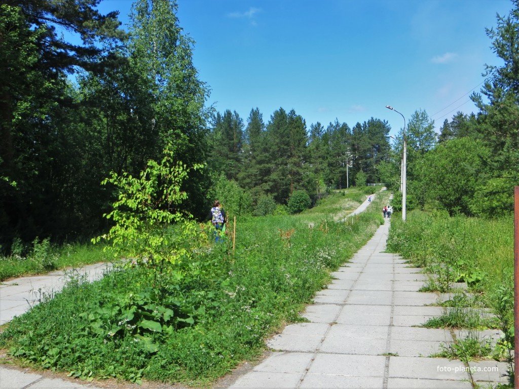 Дорожка к детской больнице