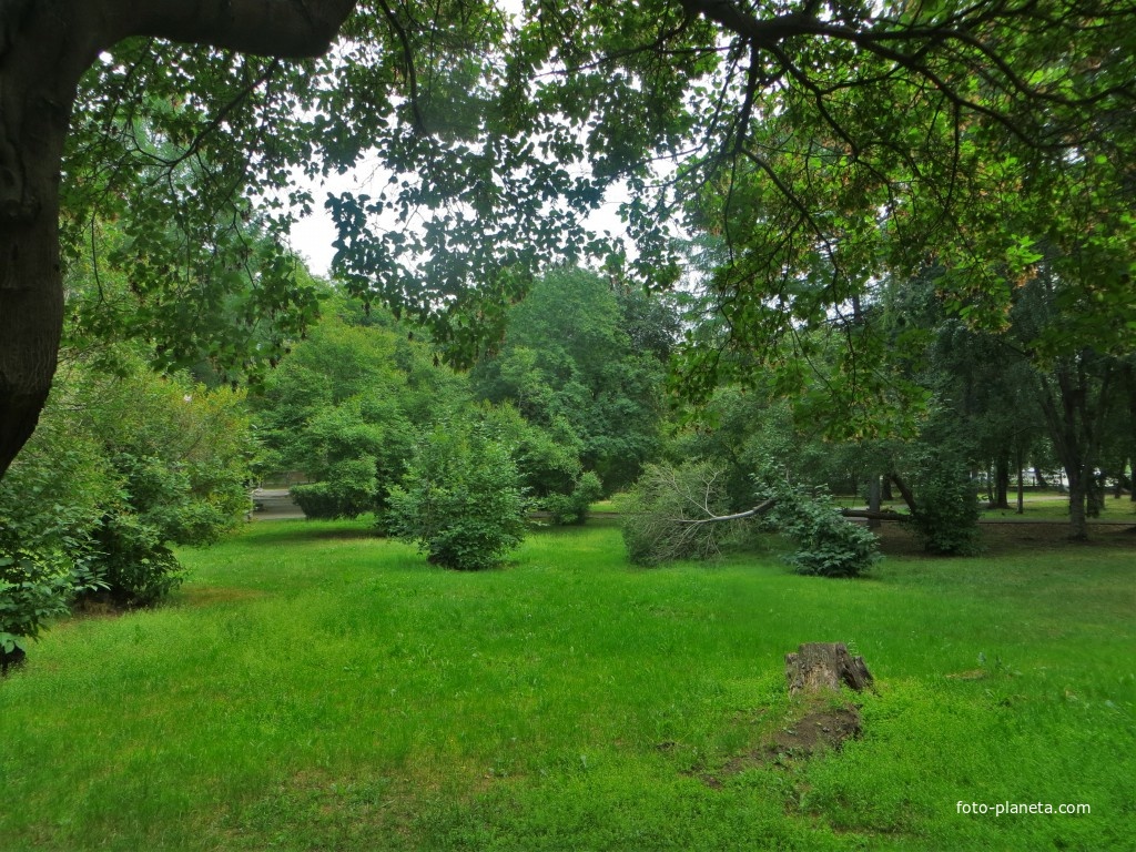 Пионерский сквер