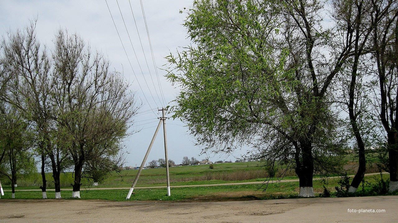 Вид в направлении домов по ул.Свободы (северо-восточная окраина села)