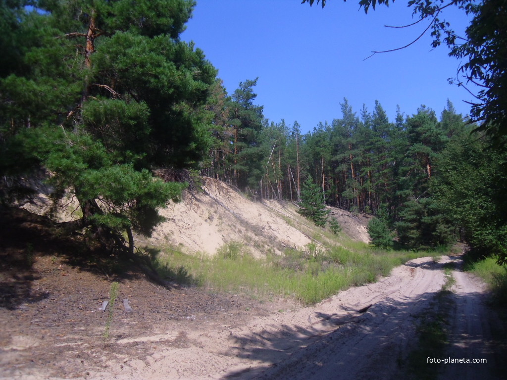 Дорога на хутор Ясковцы, песок вокруг песок.