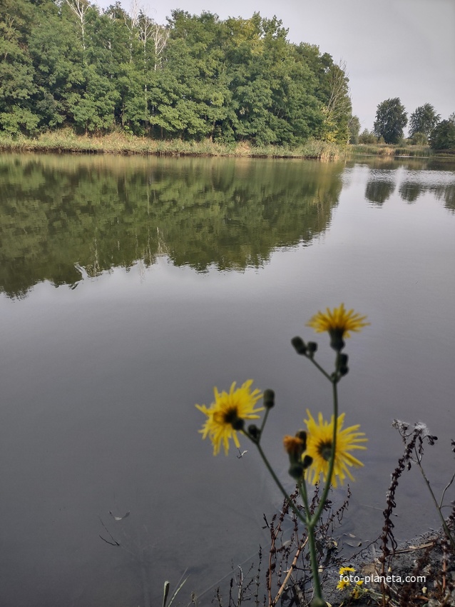 Парк Охановича