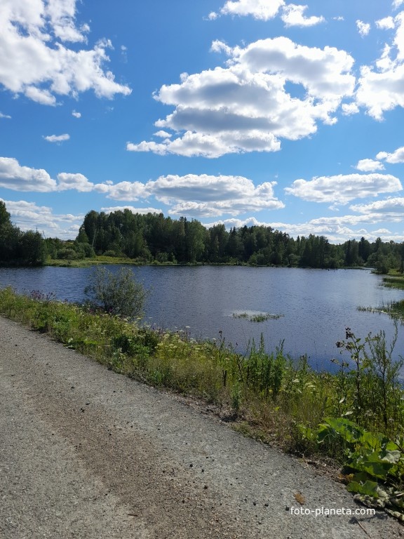 Пруд на реке Шумовка